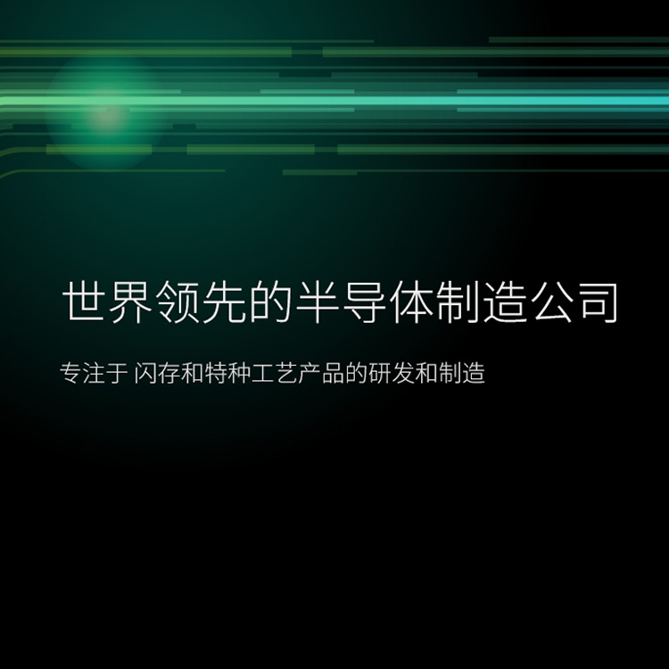 HOLY荷勒爲(wei)長(zhang)江(jiang)存儲咊(he)武漢新(xin)芯打造(zao)新(xin)網站