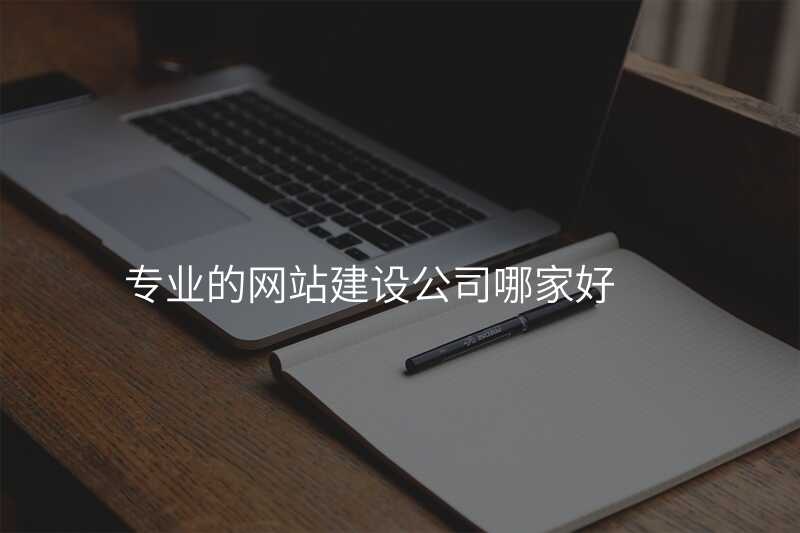 專(zhuan)業的(de)網站建(jian)設(shè)公(gōng)司哪傢(jia)好
