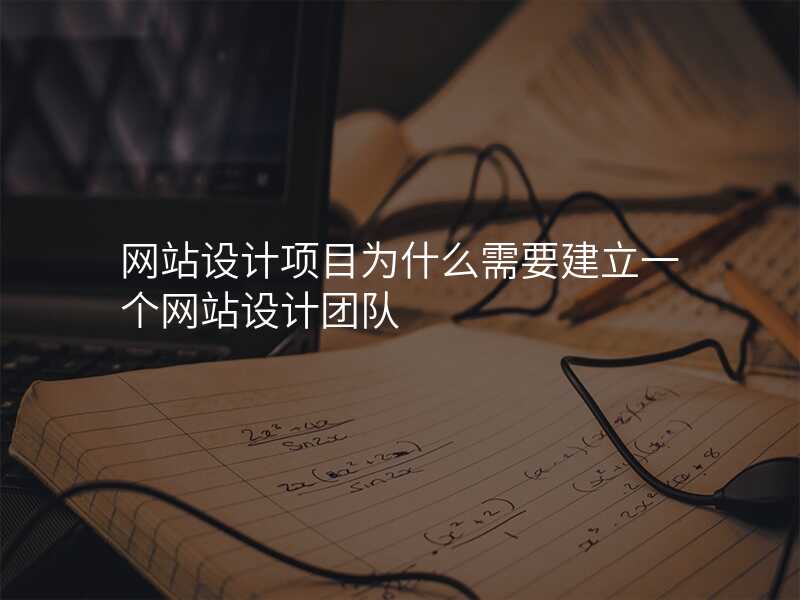 網站設(shè)計(ji)項(xiang)目(mu)爲(wei)什麽需要建(jian)立一(yi)箇(ge)網站設(shè)計(ji)團(tuán)隊(duì)