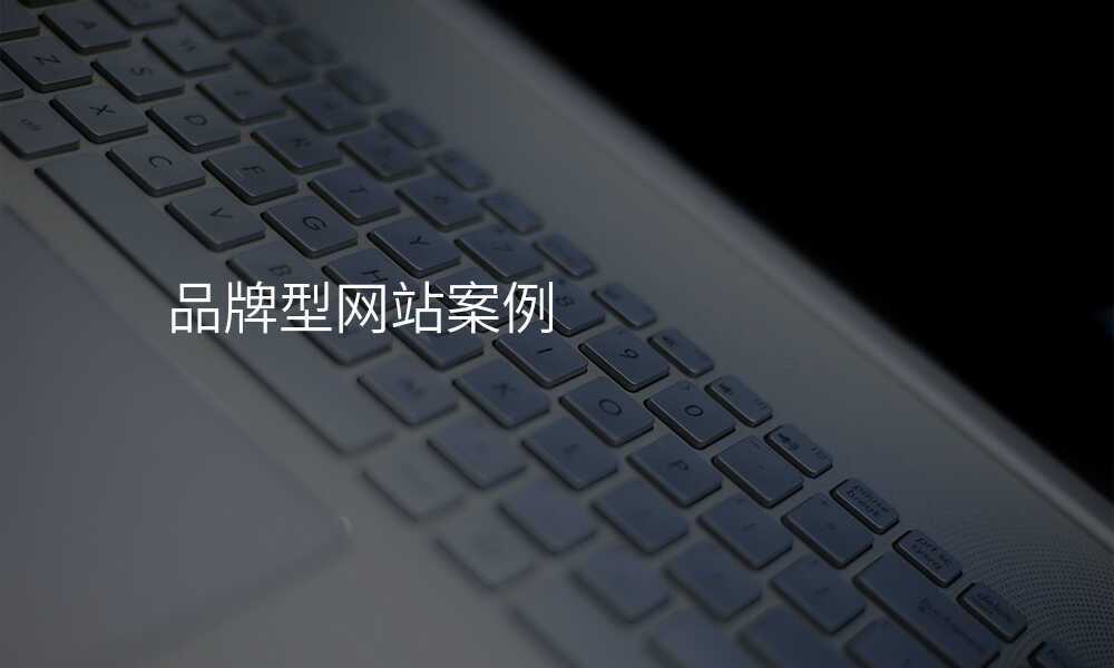 品(pin)牌型網站案例