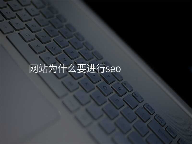 網站爲(wei)什麽要進(jin)行seo