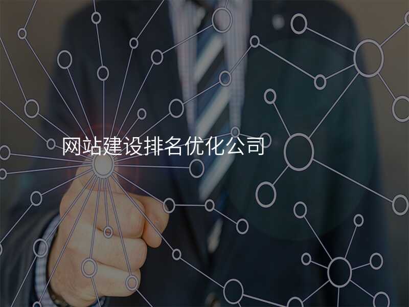 網站建(jian)設(shè)排(pai)名(míng)優(you)化公(gōng)司