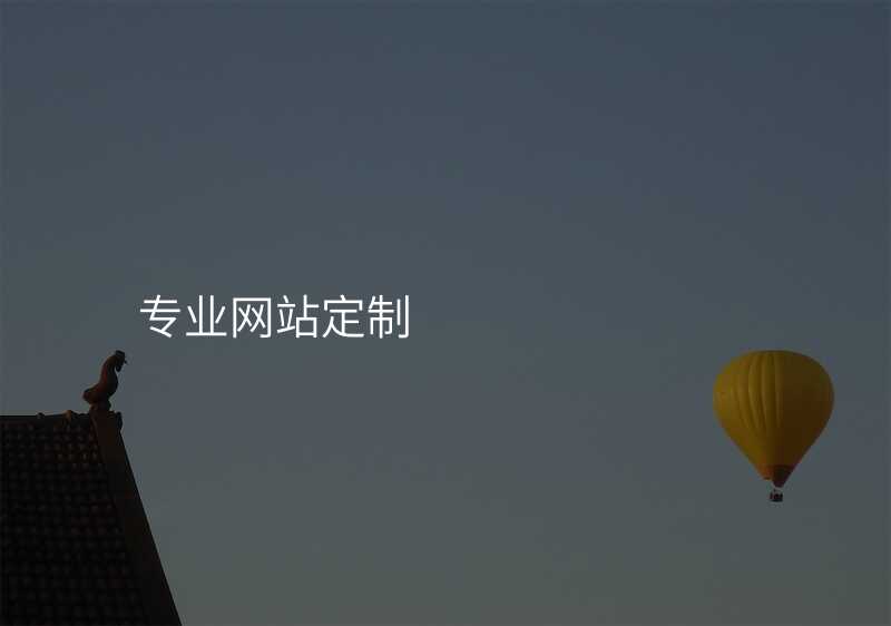 專(zhuan)業網站定製(zhi)