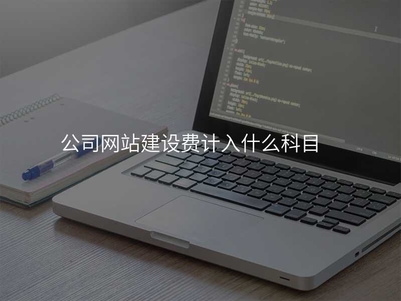 公(gōng)司網站建(jian)設(shè)費計(ji)入什麽科(ke)目(mu)