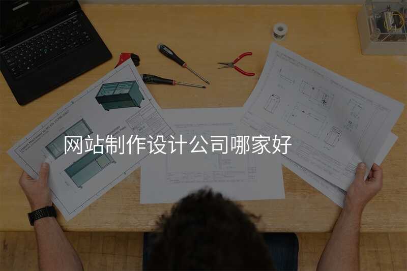 網站製(zhi)作(zuò)設(shè)計(ji)公(gōng)司哪傢(jia)好