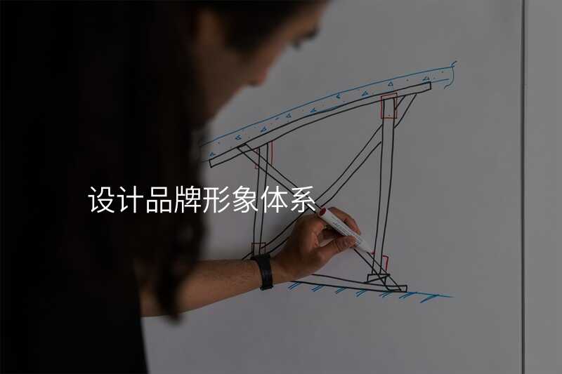 設(shè)計(ji)品(pin)牌形象體(ti)係(xi)