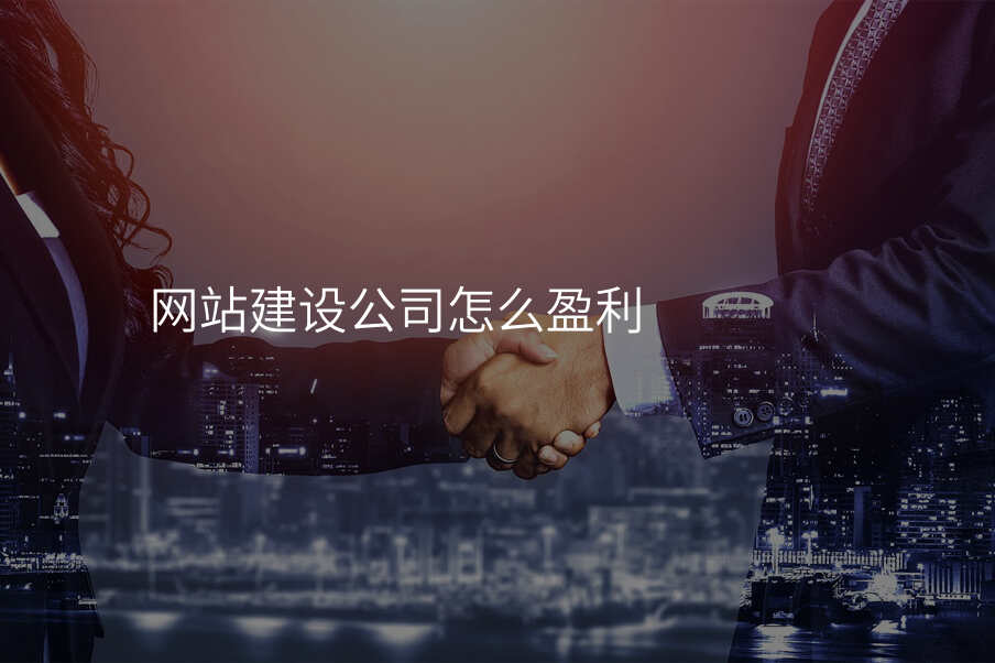 網站建(jian)設(shè)公(gōng)司怎麽盈利