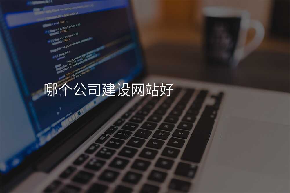 哪箇(ge)公(gōng)司建(jian)設(shè)網站好