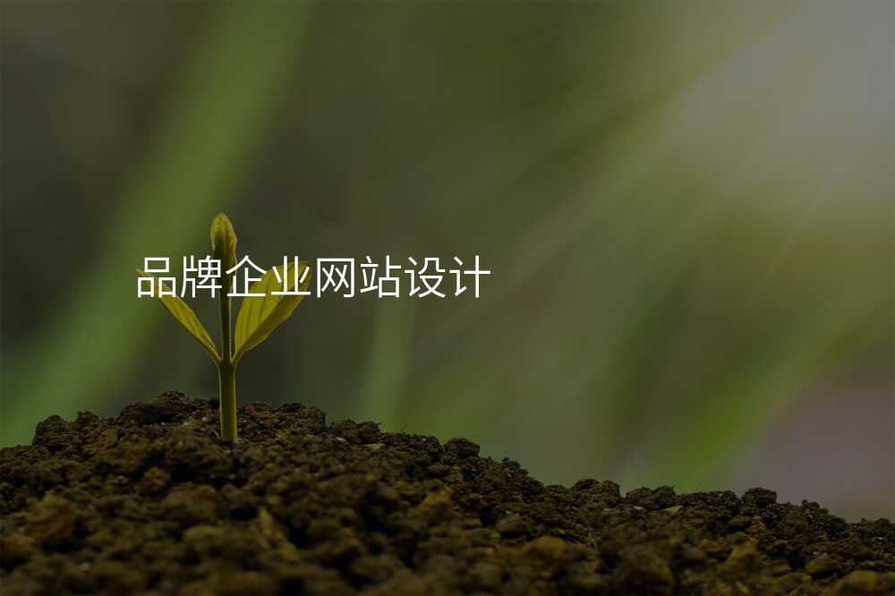 網站設(shè)計(ji)公(gōng)司如何實現(xian)你的(de)品(pin)牌定位？
