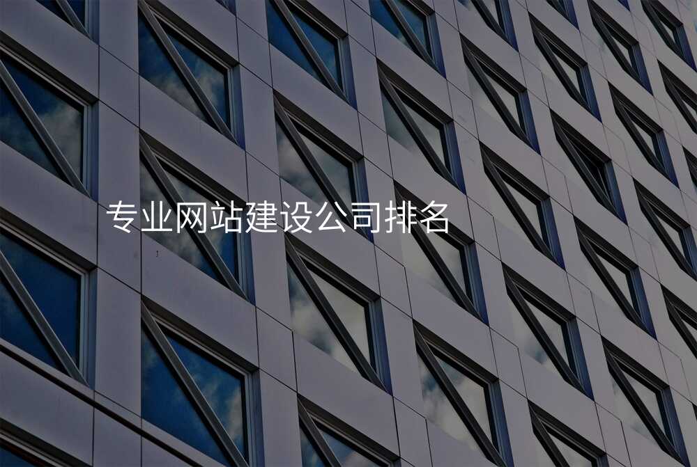 專(zhuan)業網站建(jian)設(shè)公(gōng)司排(pai)名(míng)