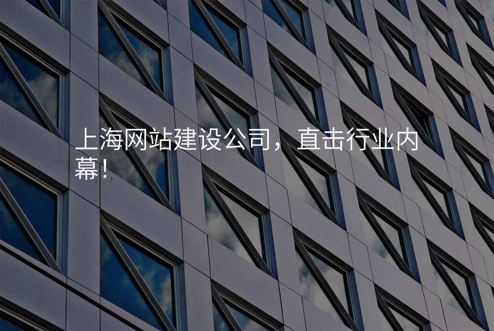 上海網站建(jian)設(shè)公(gōng)司,直擊行業內(nei)幕!