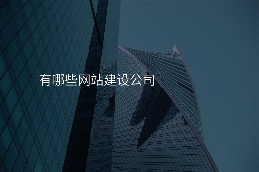 有(yǒu)哪些網站建(jian)設(shè)公(gōng)司