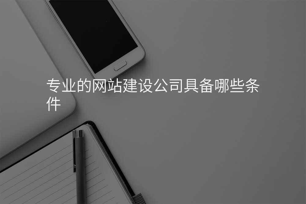 專(zhuan)業的(de)網站建(jian)設(shè)公(gōng)司具(ju)備(bei)哪些條件