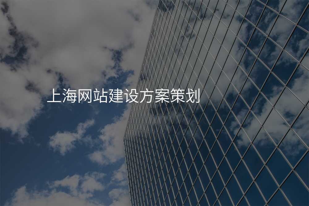 上海網站建(jian)設(shè)方(fang)案策劃